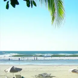 תמרינדו קוסטה ריקה | מוצילר