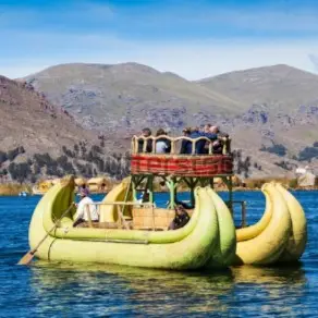 פונו פרו | מוצילר