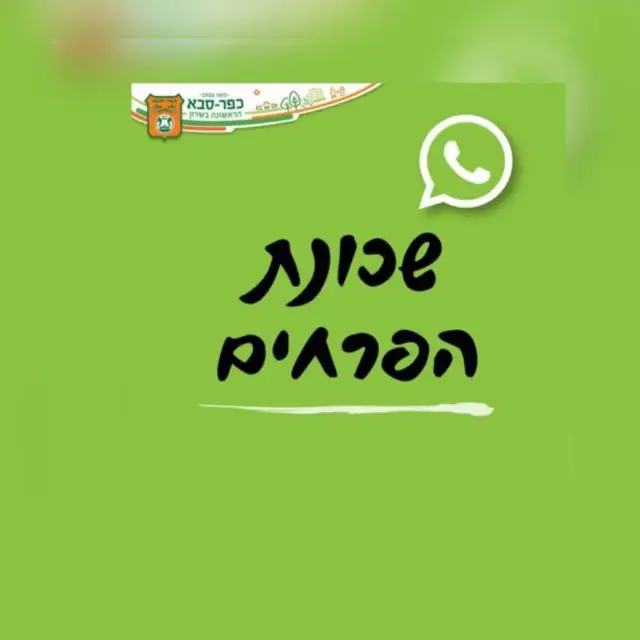 שכונת הפרחים 2 🌸