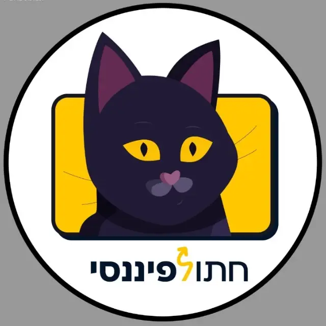 חתול פיננסי 🐈‍⬛💸 #3